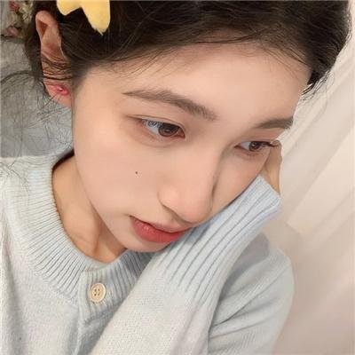 企鹅之岛:福克兰